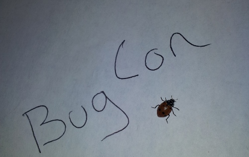 BugCon1wp_small.jpg